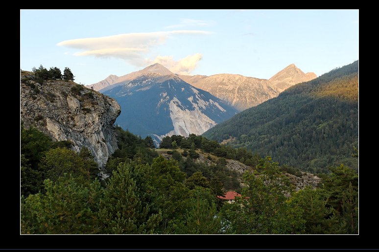 331
