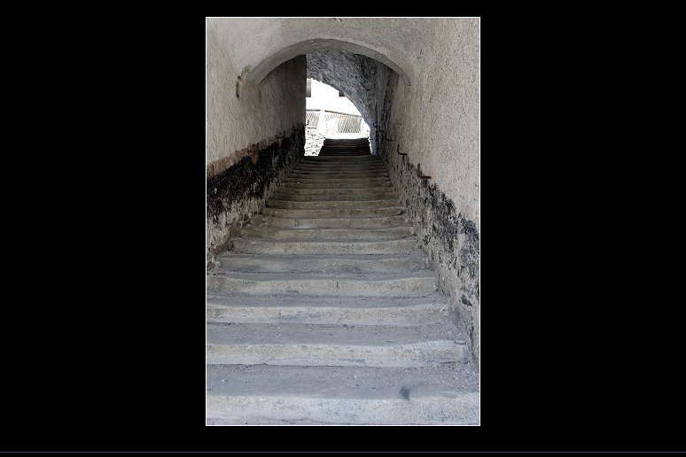 256